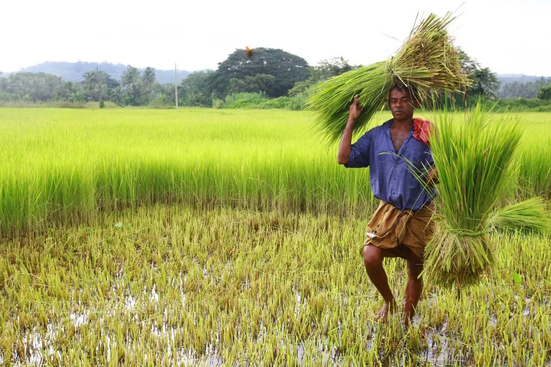 découvrez comment vérifier votre éligibilité à la 20e tranche du programme pm kisan et suivez les étapes pour consulter le statut de votre paiement en ligne en toute simplicité.