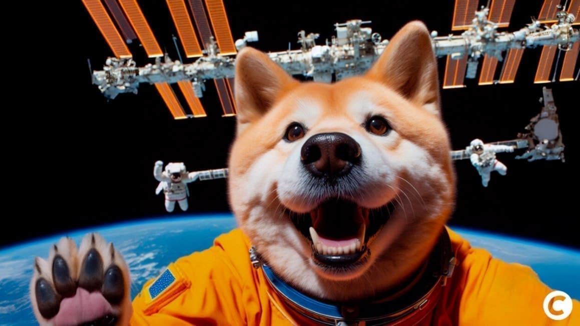 découvrez ce que sont les dividendes doge, comment ils fonctionnent et comment vous pouvez potentiellement en bénéficier dans le monde des cryptomonnaies. tout savoir sur les dividendes liés au dogecoin.