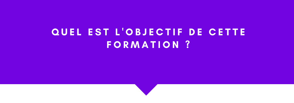 découvrez notre formation réseaux sociaux gratuite pour apprendre à gérer, développer et optimiser votre présence en ligne sur facebook, instagram, linkedin et plus. adaptée aux débutants et professionnels.