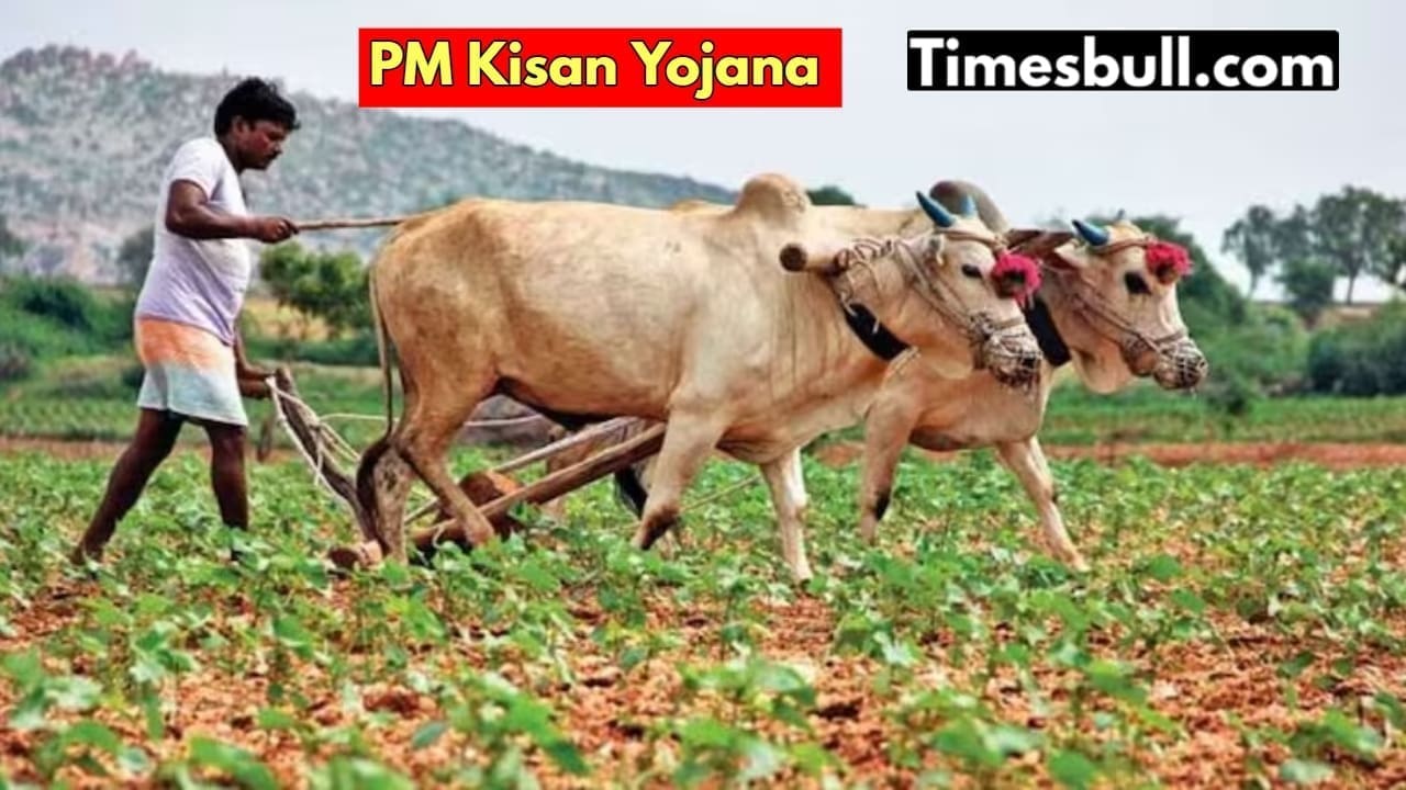 découvrez les détails du versement pm-kisan de 2 000 ₹ destiné à 9 crore d'agriculteurs. vérifiez rapidement votre paiement en ligne et assurez-vous de recevoir votre aide financière gouvernementale.