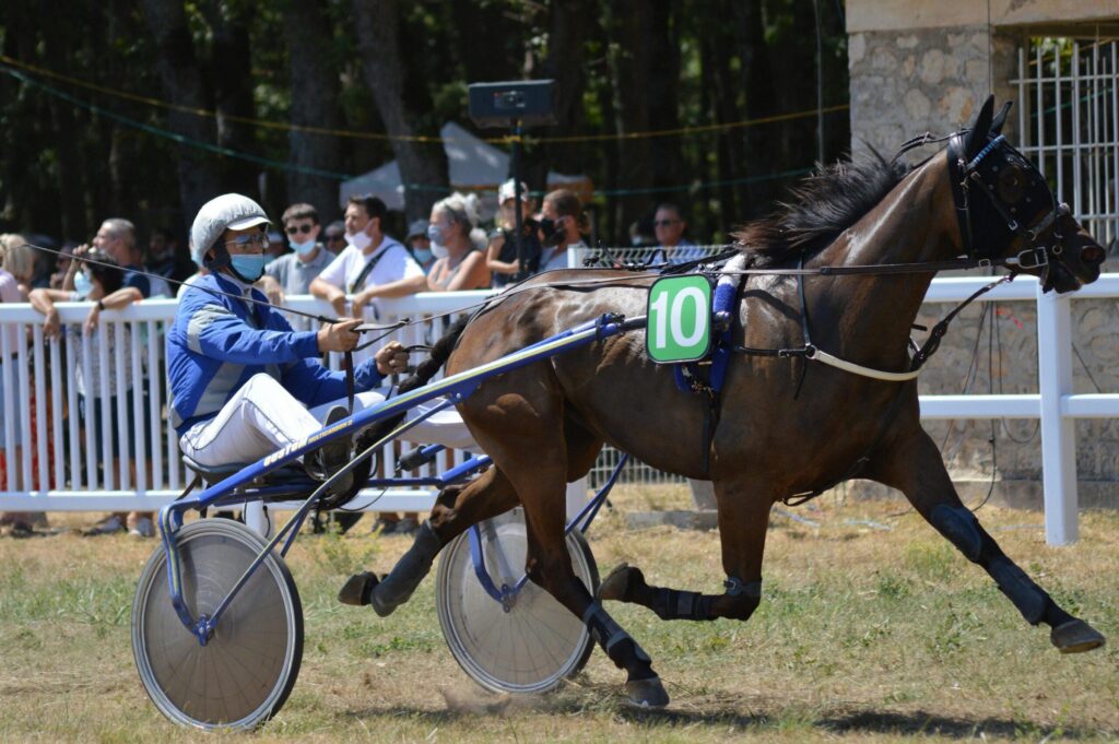 SECF Infonet 5 : le guide pratique de l’espace pro du trot